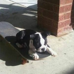 Meet your Posher, Regina